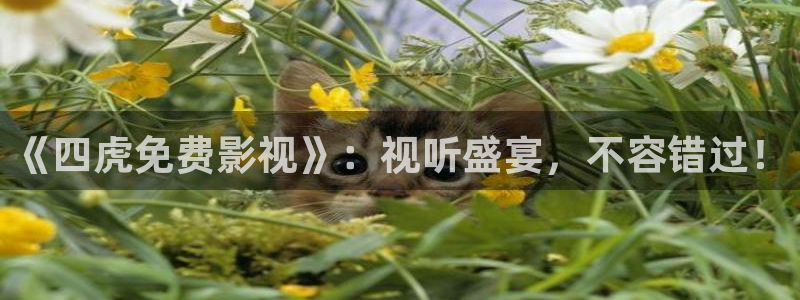 好好看影院：《四虎免費影視》：視聽盛宴，不容錯過！